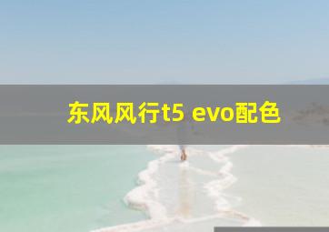 东风风行t5 evo配色